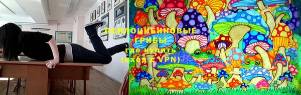 метамфетамин Алексеевка